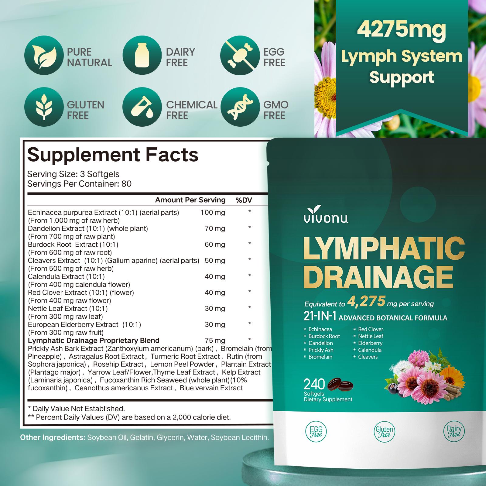 VivoNu  Lymphatic- Supports Lymphatic Circulation | Detox & Reduces Swelling | Key Ingredients: Echinacea, Dandelion, Nettle, Burdock, Calendula, Red Clover | 240 Capsules | Supports Immune System & Metabolism