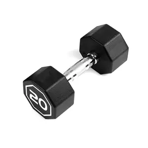 20LBS  IR3920 Premium Octagonal Dumbbell, Large Numbers, Hard Chrome Plated Handle Dumbbells to Assist with Push-Ups