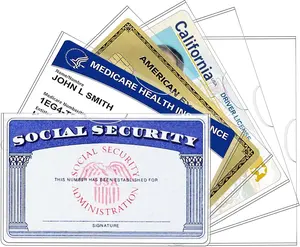10 Pack Social Security Card Holder/Social Security Card Protector Sleeve