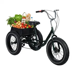 Adult Tricycle for Adults & Seniors, 20 Inch 7 Speed 3 Wheel Bike with Double Disc Brake & Spacious Shopping Basket