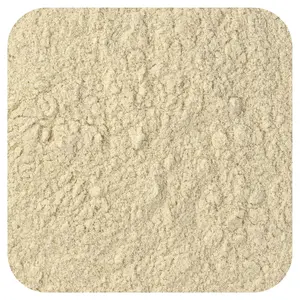 Frontier Co-op Maple Syrup Powder, 16 oz (453 g)