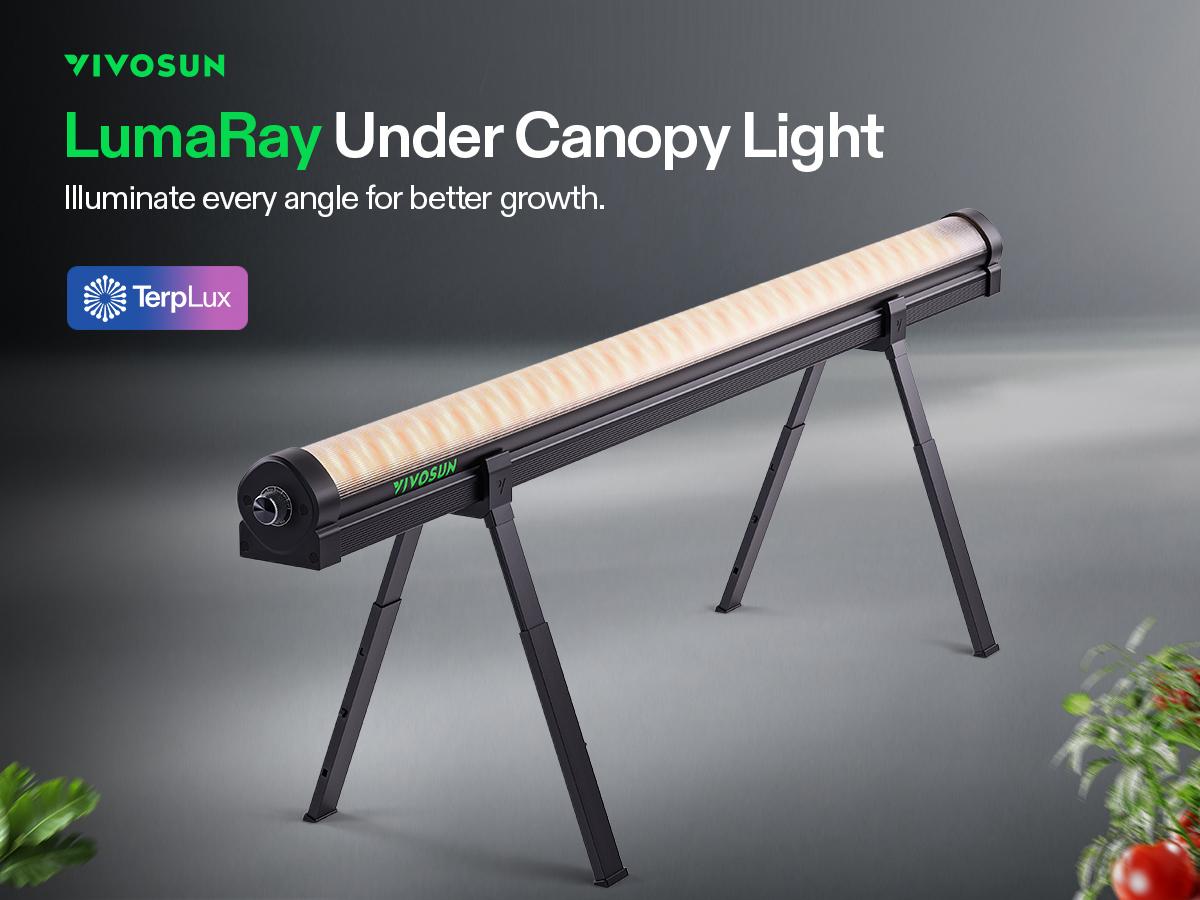 VIVOSUN LumaRay Under Canopy Grow Light, Full Spectrum Dimmable LED Grow Lights for Grow Tents, Greenhouses, SGS Compatible, 100W, 3.28 ft VIVOSUN LumaRay Under Canopy Grow Light, Full Spectrum Dimmable LED Grow Lights for Grow Tents, Greenhouses, SGS Compatible, 100W, 3.28 ft