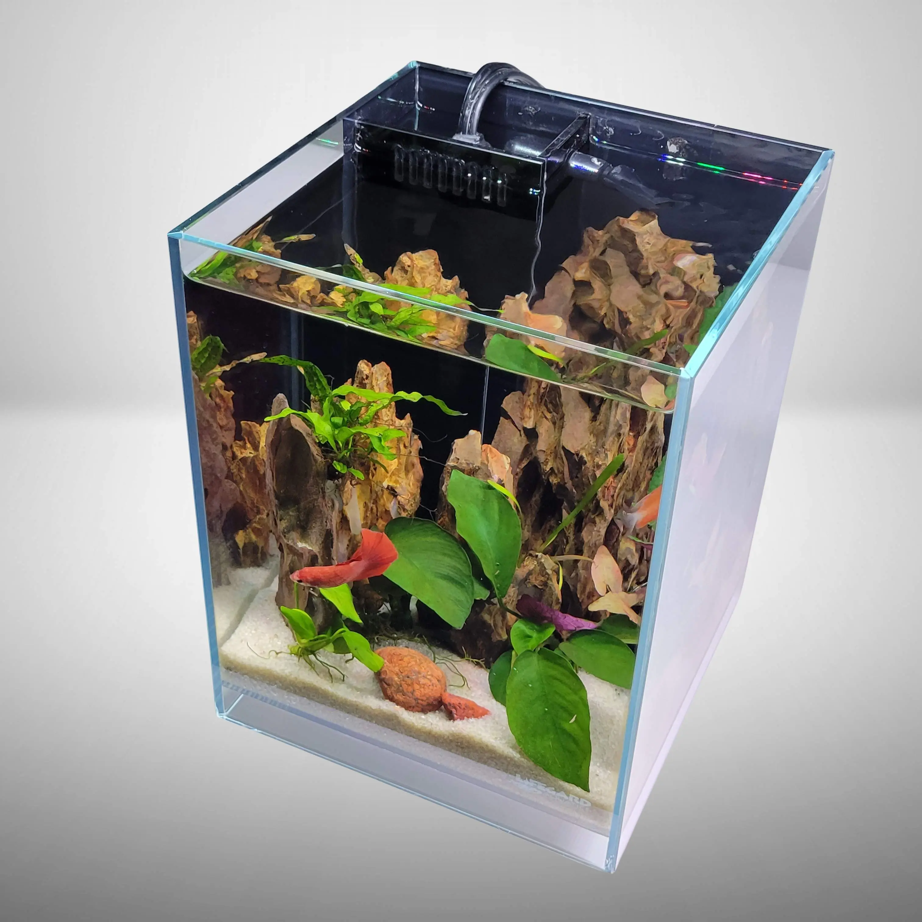 2.65 Gallons All in One Betta Tank Kit with UL Listed Heater, Full Spectrum LED Light, Pump, Filter and Algae Pad