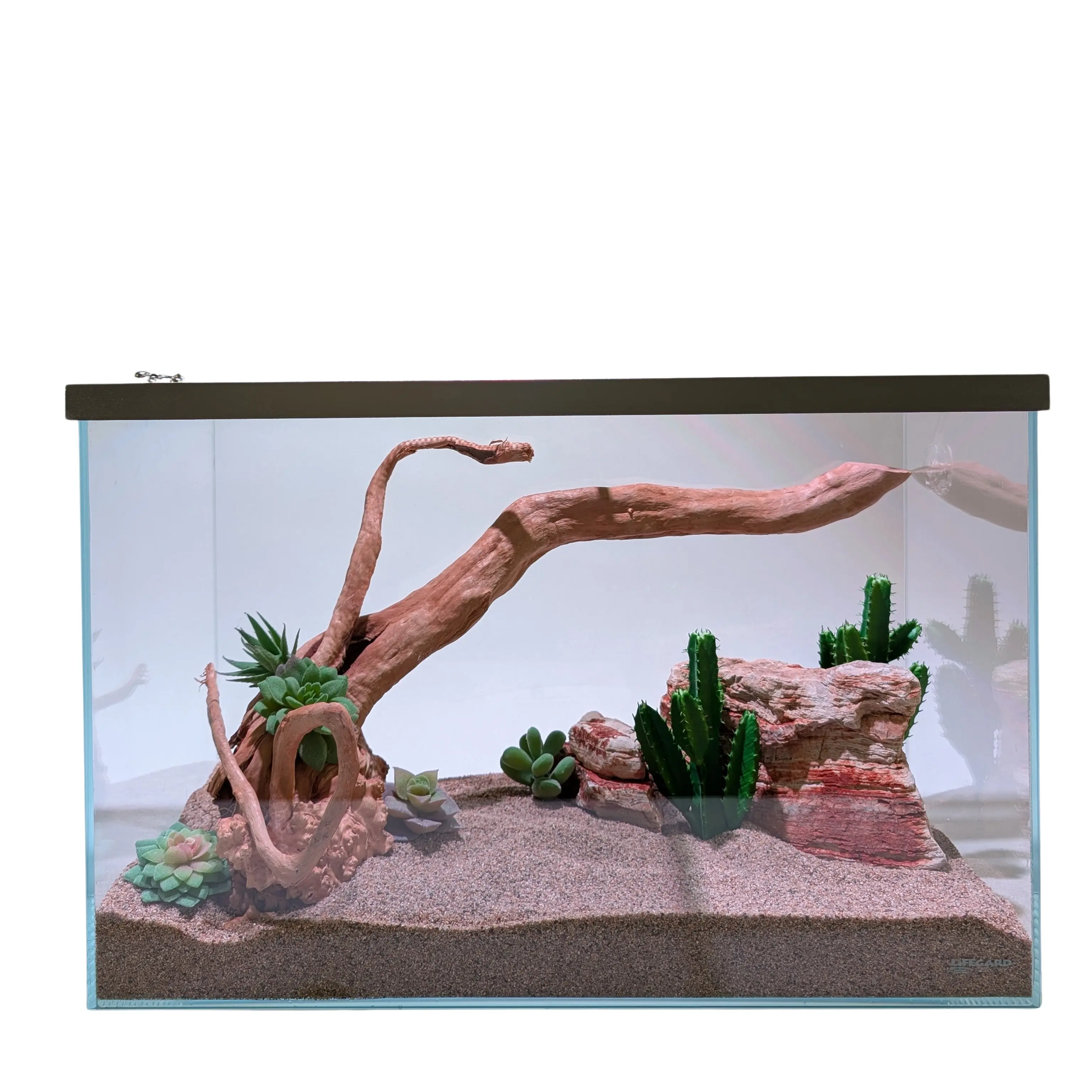 Lifegard Clear Glass 10 Gallon Rimless Terrarium