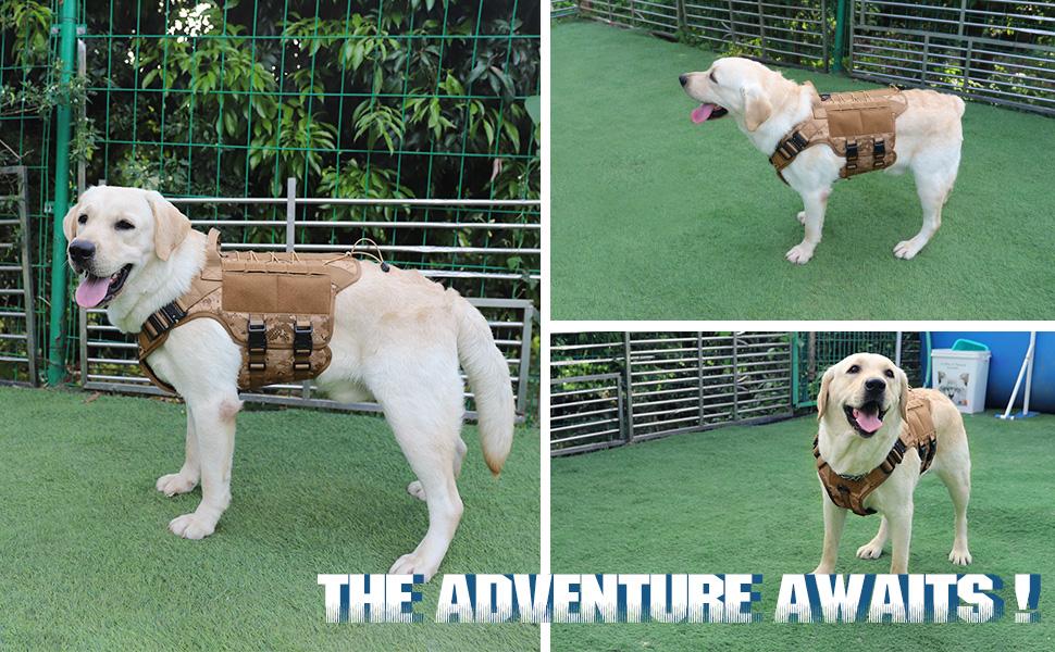 PETNANNY Tactical Dog Harness - Service Dog Harness Emotional Support Dog Vest for Medium Large Dogs, No Pull ESA Dog Vest with Hook & Loop, Working Molle Vest for Training Huntin PETNANNY Tactical Dog Harness - Service Dog Harness Emotional Support Dog Vest for Medium Large Dogs, No Pull ESA Dog Vest with Hook & Loop, Working Molle Vest for Training Huntin