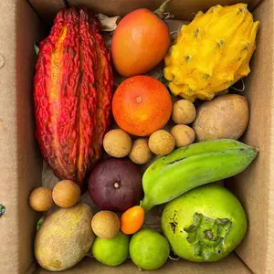 Variety Box Variety Box