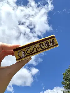 CoCo Japanese Curry LED fridge magnet – USB-C powered with multi-light modes.