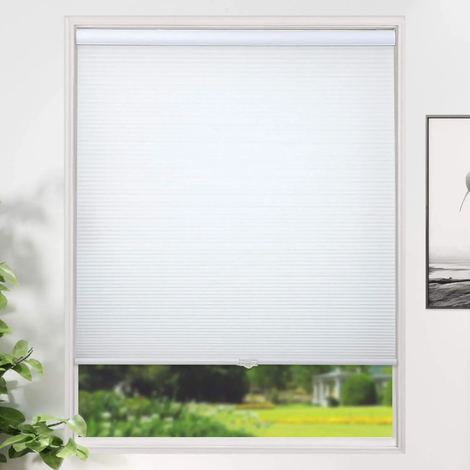 Cellular Shades Cordless, Light Filtering Honeycomb Blinds for Window and Door, Home and Office