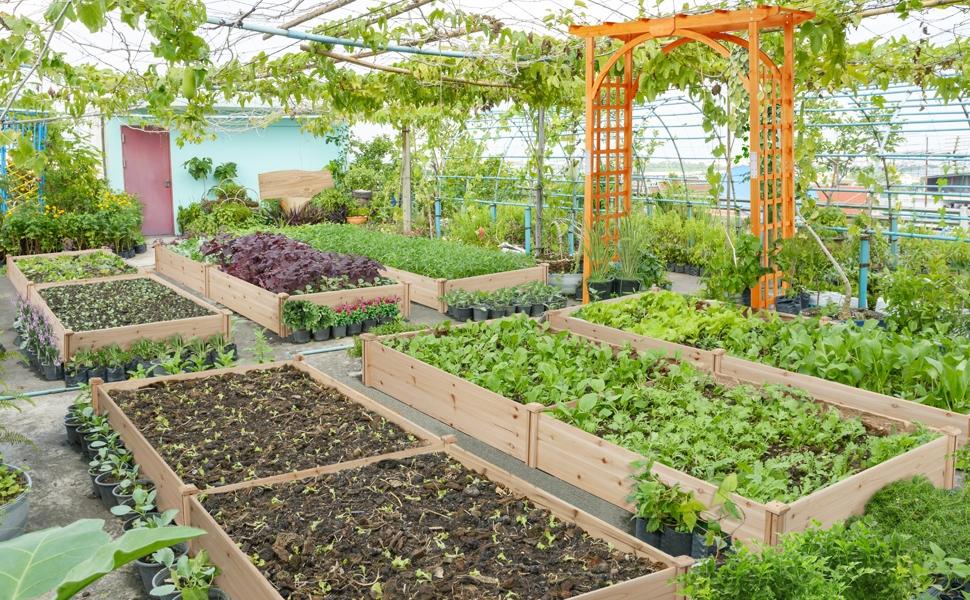 Yaheetech Wooden Raised Garden Bed Divisible Elevated Planting Planter Box for Flowers/Vegetables/Herbs in Backyard/Patio Outdoor, 95″ L × 49″ W × 11″ H