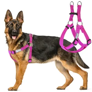 Adjustable Step-In Dog Harness with Dual D-Rings