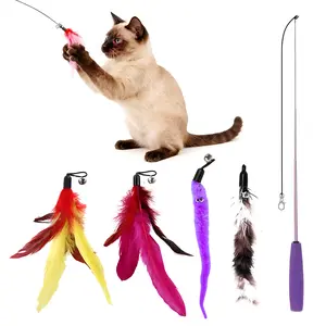 Cat Teaser Wand Toys, Interactive Bird Toys for Indoor Kittens, Cat Fishing Pole Toys, Natural Refills, Exercising, Playing