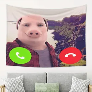 John Pork Meme tapestry ,Perfect for Dorm Rooms, Living roo Rooms & Bedrooms |     Funny Lightweight Wall Hanging Decor,chill room accessories,bedroom decorative accessories easy hang wall art party decoration free flag multiple option Backdrop Photo Prin