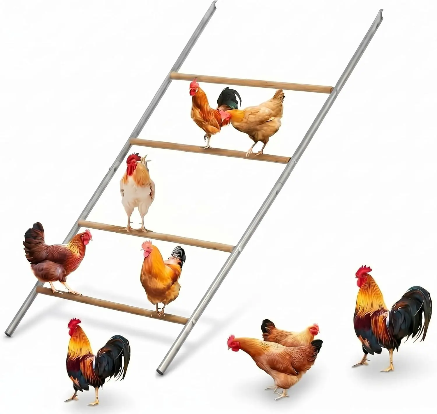 Chicken Perch for Coop, Heavy-Duty Roosting Bars for Chicken in Coop, Sturdy Poultry Ladder for Hens, Perfect for Backyard Poultry, Easy Assemble & Clean