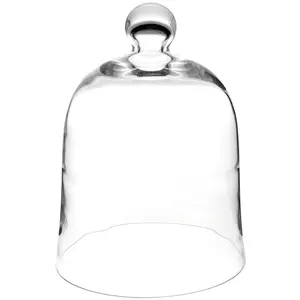 Plymor Bell Jar Glass Display Dome Cloche