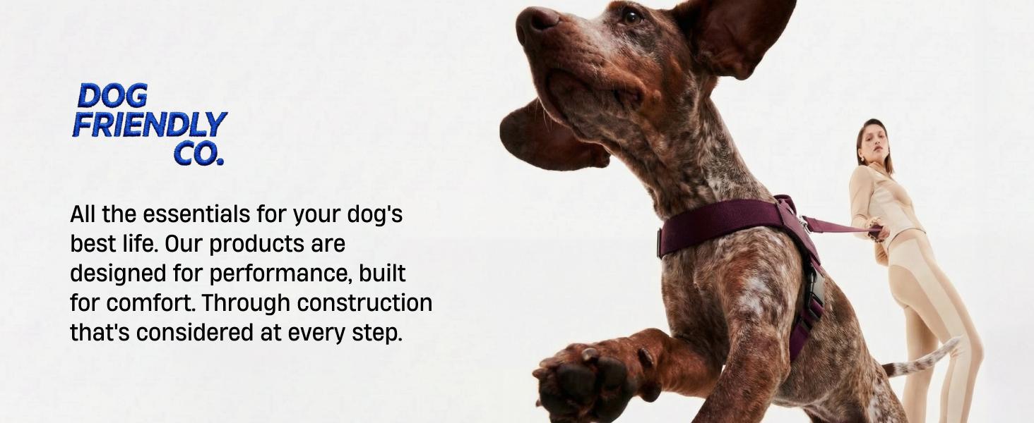 No Pull Dog Harness + D-Ring Bundle - Dog Friendly CO No Pull Dog Harness + D-Ring Bundle - Dog Friendly CO