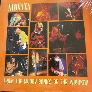 NIRVANA FROM THE BANKS IF THE WISHKAH 2-LP COLORED VINYL SEALED!