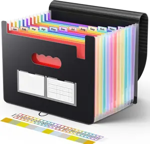 Accordion File Organizer, 13 Pockets Expanding File Folder, Portable Monthly Paper Bill Tax Receipt Organizer, Letter A4 Size Document Holder with Blank Labels, Black