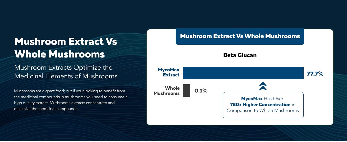 MycoMax Mushroom Complex - 70% Beta Glucans Healthcare Tea