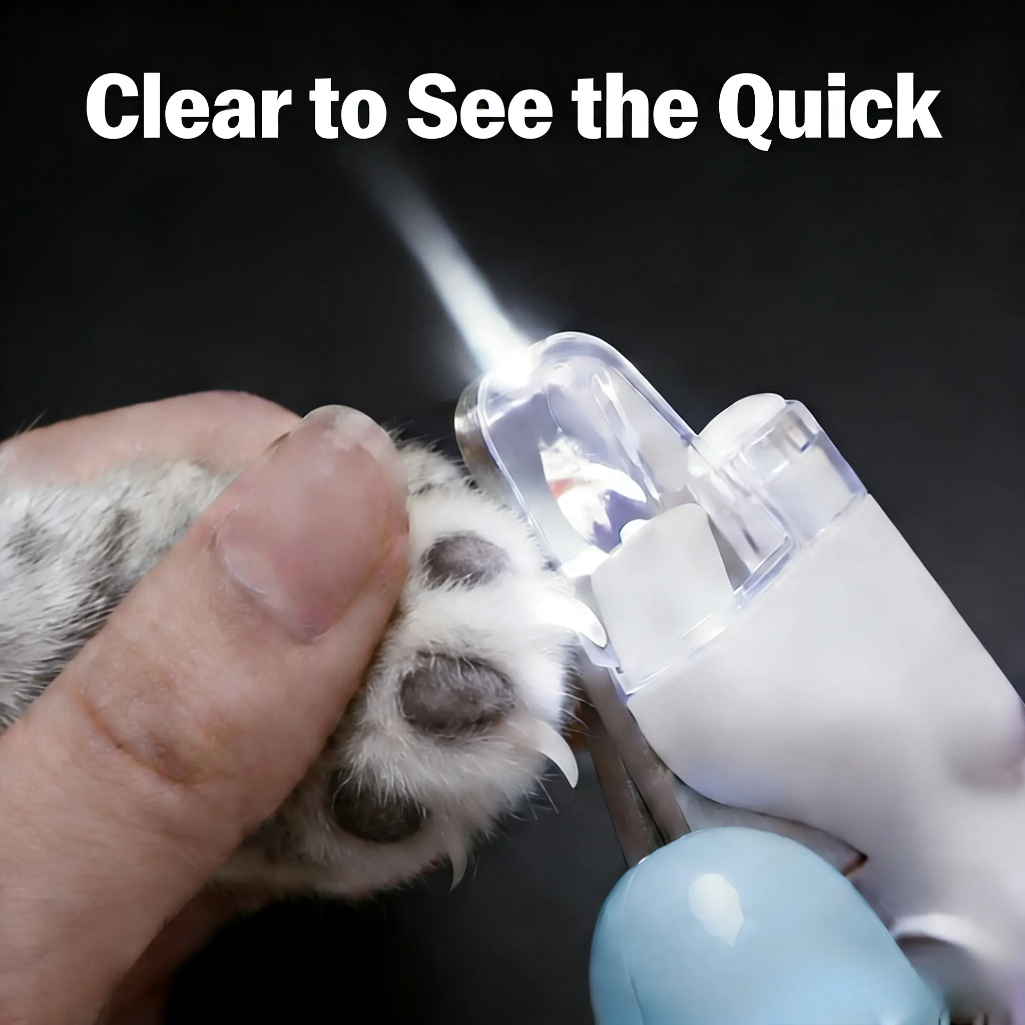 2-in-1 Battery Powered Cat Nail Clipper with 0.24 Inches Sharp Stainless Blades, Bright LED Light, Comfortable Grip, Clean Quick-Safe Cutting for Pet Nail Care, Dog Paw Trimming Grooming Tool Kit