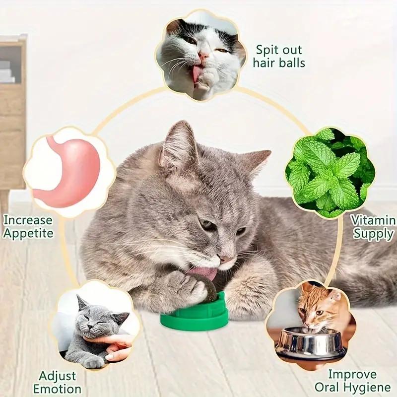 Catnip Toys Balls 4 Pcs, Extra Cat Energy Ball, Edible Kitten Silvervine Toys, Healthy Kitty Teeth Cleaning Dental Chew Toys, Cat Wall Treats Cat Stuf