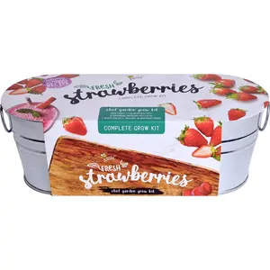 Strawberry Grow Kit | Galvanized Windowsill Planter