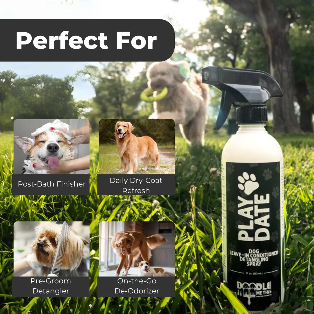 Play Date - Leave-in Conditioner and Detangler Spray