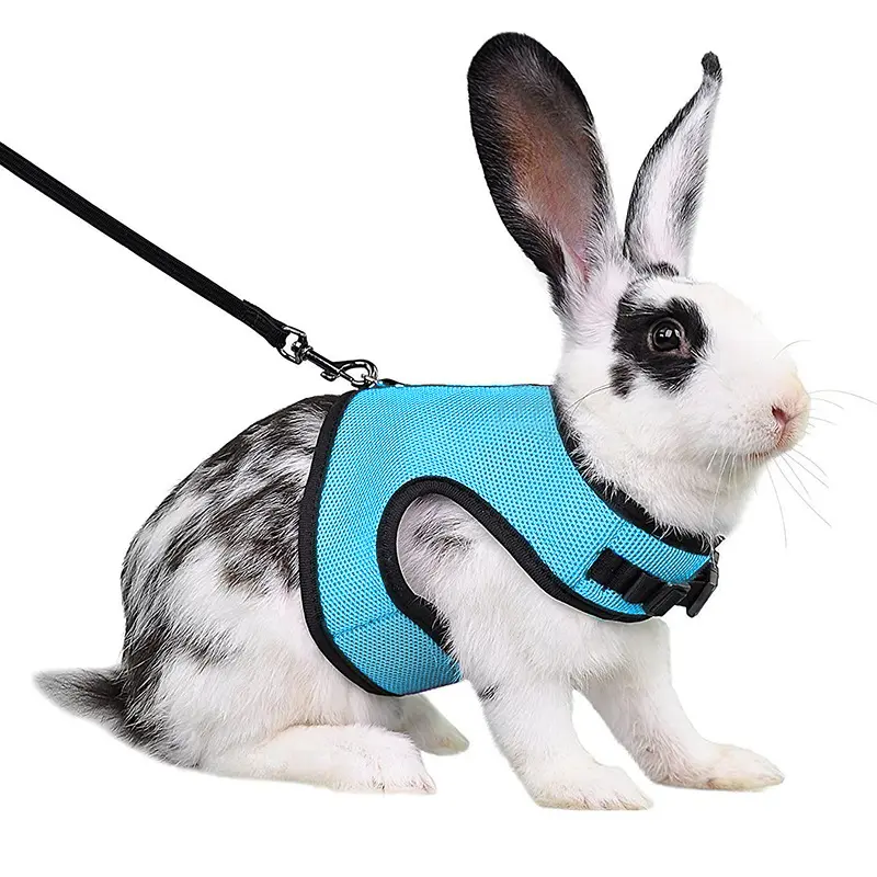 Cute Rabbit Harness & Leash Set, Adjustable Soft Vest for Bunny, Guinea Pig & Small Pets, Comfortable Outdoor Walking Gear
