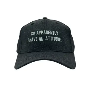 So Apparently I Have An Attitude Hat Funny Graphic Cap Funny Hats Funny offensive  Novelty Caps for Men Standard