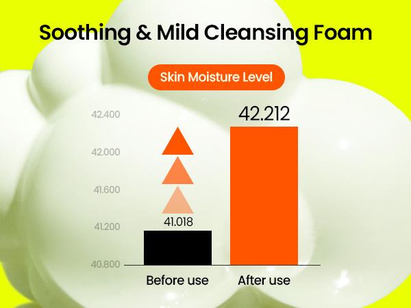 [beplain Official] Skin Detox Cleansing Foam | Korea's No.1 Mung Bean pH-Balanced Cleansing Foam 160ml | Foaming Cleanser for All Skin Types Facial Wash