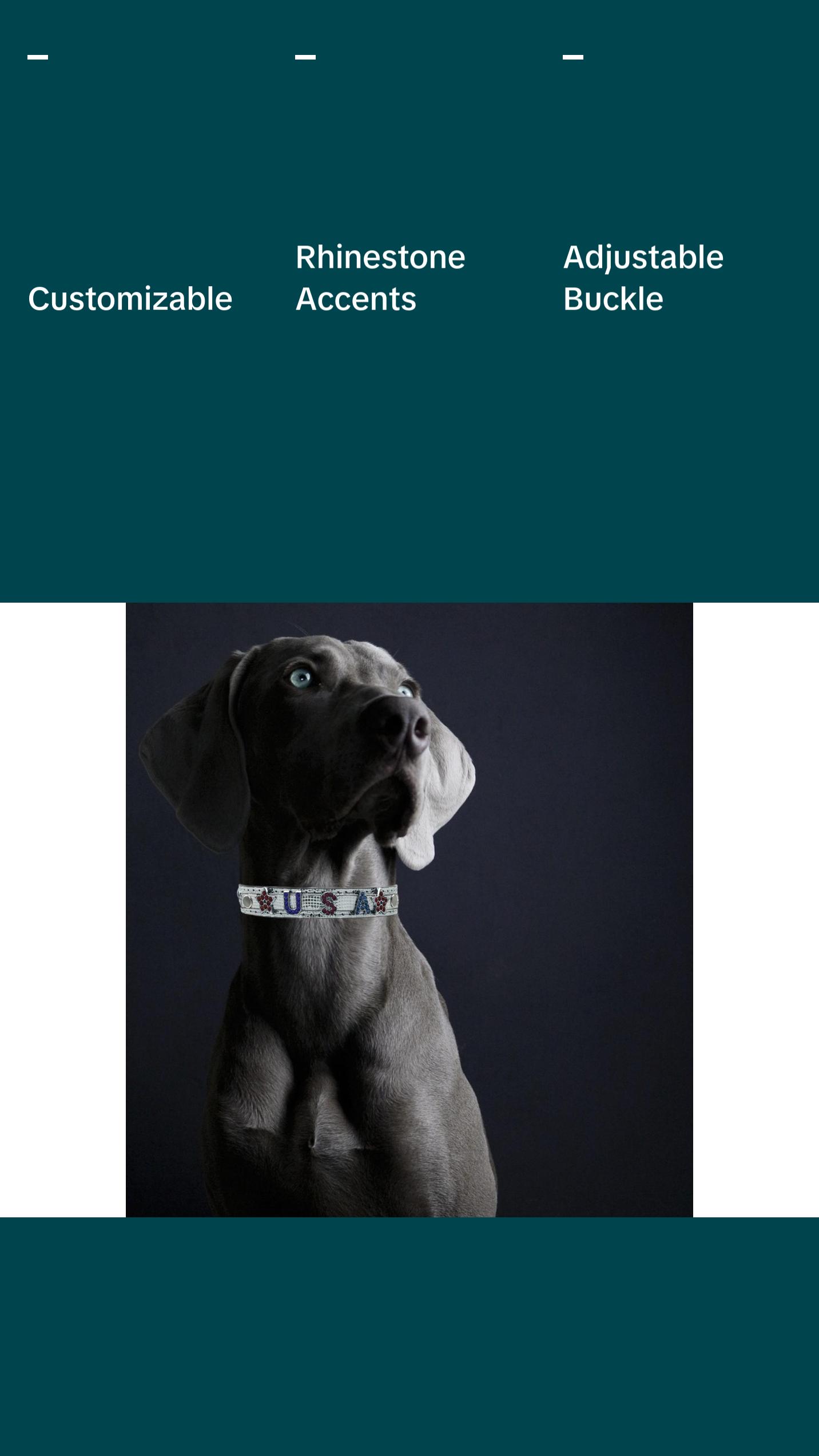 ALPHABET Shine Personalized Handmade PU Leather Dog Collar