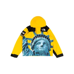 TNF Mountain Jacket "FW19 - Statue Of Liberty" SU8176