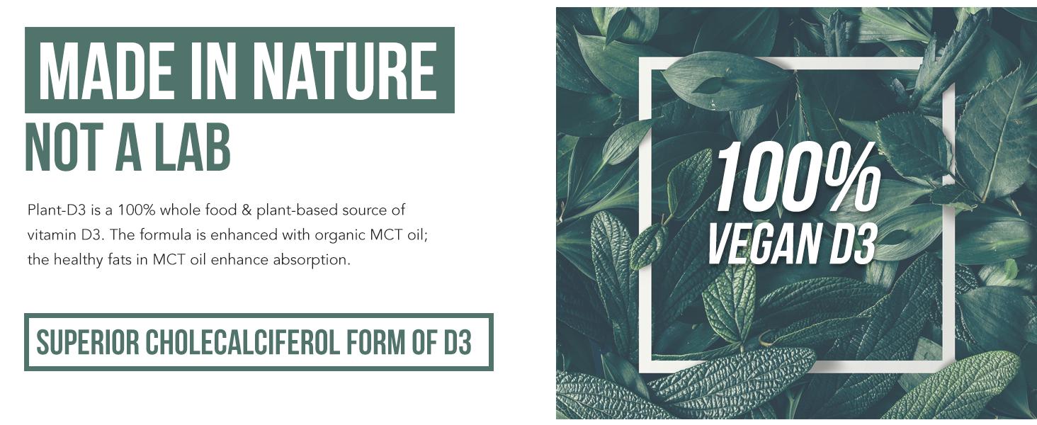 Plant-D3 (10,000 IU) Organic Vitamin D3 Liquid Concentrate Healthcare Dietary Healthcare Dietary Fitness Edible