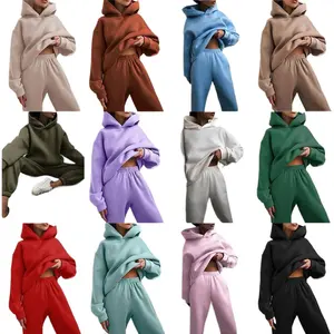 2025ComfrtHeavyembroideryfleeceoversizecouplehoodiecasualloosesweatpantsset