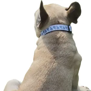 Adjustable Dog Collar - Comfortable and Stylish Pet Accessory for Easy Fit