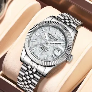 Meteorite Style Dial Mechanical Watch Stainless Steel Skeleton Men's Date Luminous High-End Business Gift Self-Winding with Gift Box