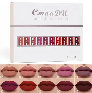 10 Pcs Matte Lipstick, Long-Lasting Lip Gloss, Suitable for Beginners, Beauty Makeup, Long-Lasting Waterproof Lip Stain, Non-Stick, Easy to Apply Cosmetics