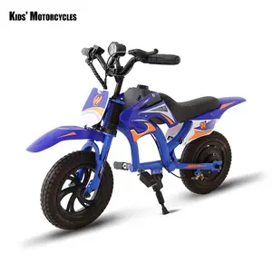 Children's Electric Motorcycle, Lightweight, 300W Brushless Motor, Birthday Gift | Parent-Child Interaction