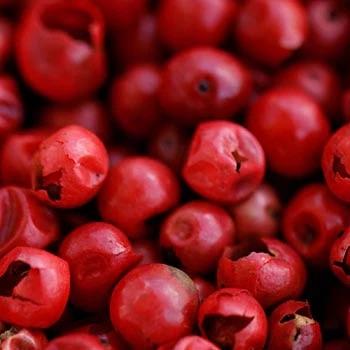 NEW Elizabeth Arden Eternal Aura Eau de Parfum | Floral Amber - Sandalwood, Magnolia, Rose-Ambrette Fragrance