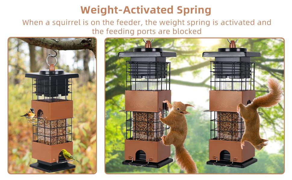 Wildpark Squirrel Proof Bird Feeder – Attract Finches & Cardinals, Say Goodbye to Squirrel Problems – Perfect Gift for Nature Lovers!