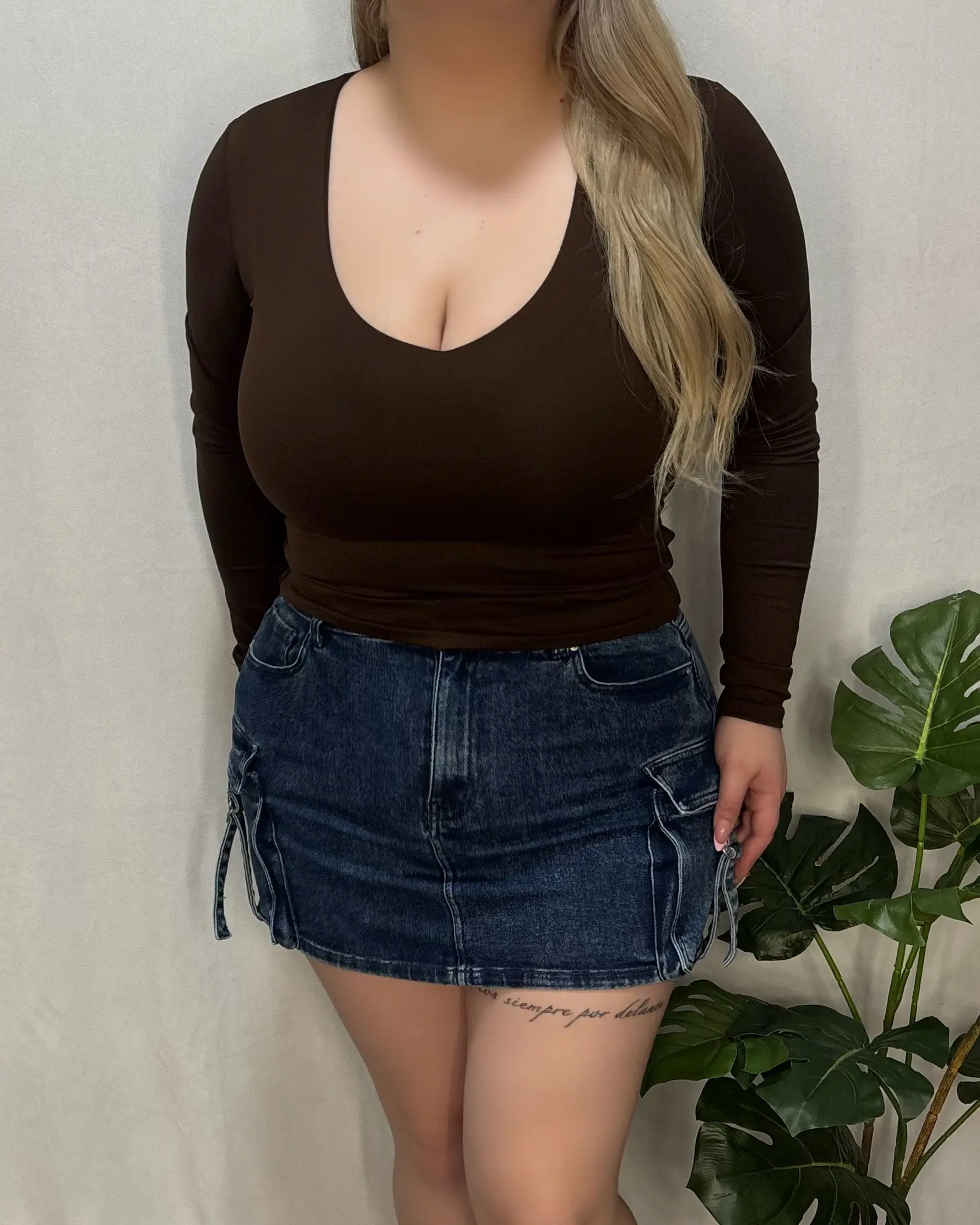 Tania V-Neck Top (Brown)