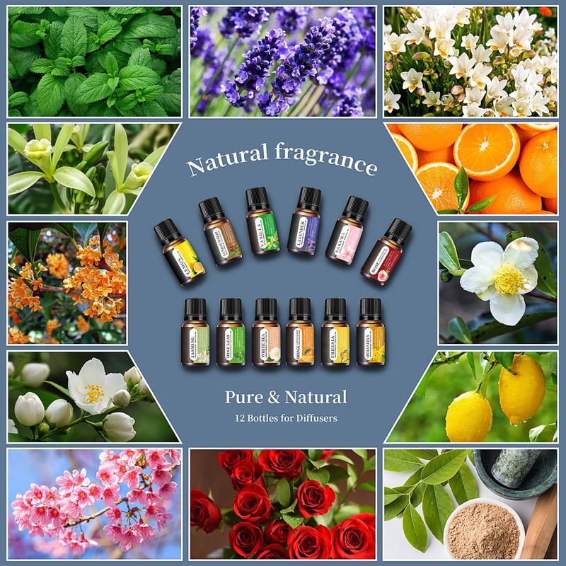 Essential Oils Set, 10 ML Bottles Set For Home Care, Fragrance, Humidifiers, Difusors & Aromatherapy Oils Set Gifts, Mint Leaf, White Tea, Lavender, Lemon, Orange, Osmanthus, Vanilla, Sakura, Rose, Freesia, Sandalwood, Jasmine