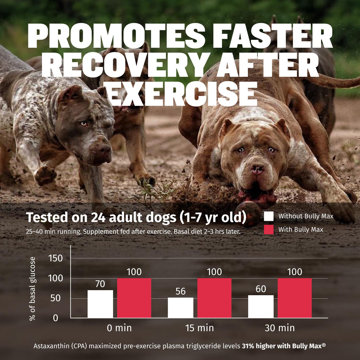 Bully Max 3-in-1 Liquid Dog Muscle Builder Supplement for Puppy and Adults Dogs - Dog Vitamins for Small & Large Breeds - Vet-Approved Dog Supplement