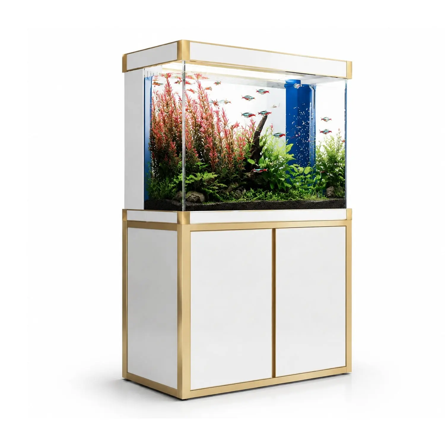 100 Gallon Aquarium – White & Gold Tempered Glass