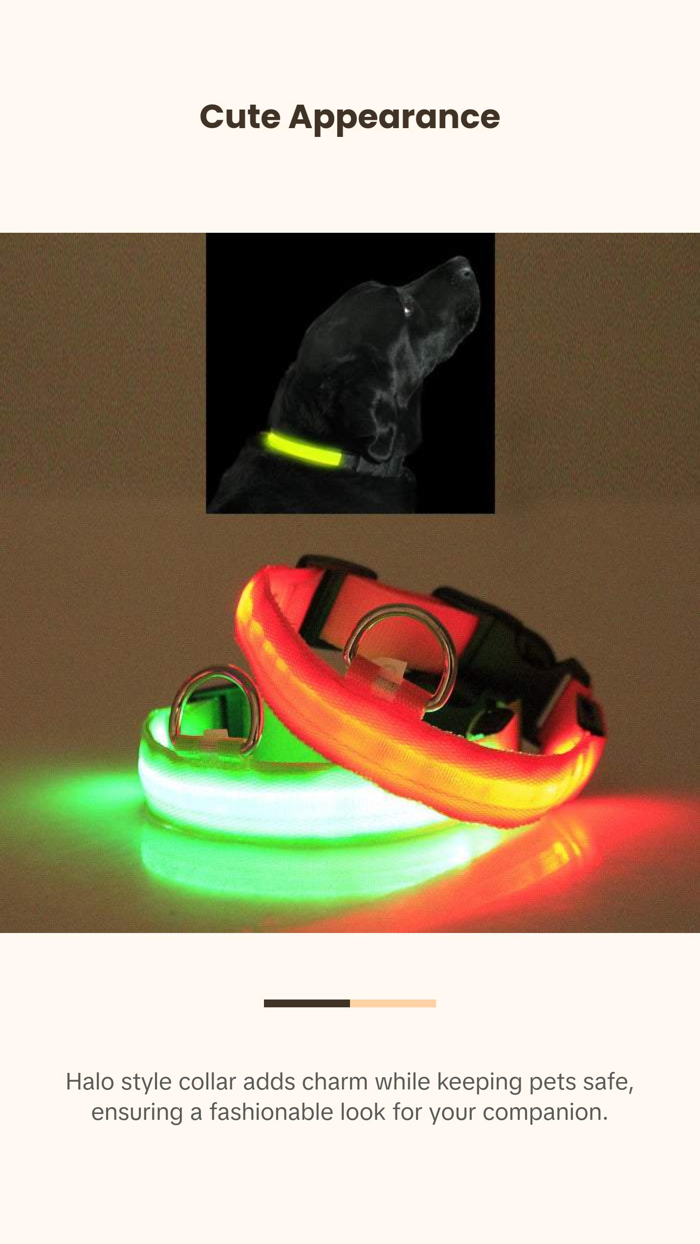 LED PET Safety Halo Style Collar