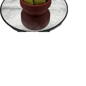 Fidget Spinner/Clicker Shrubbery