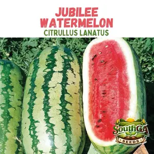 Jubilee Watermelon Seeds (Citrullus lanatus) Sweet Heirloom Variety