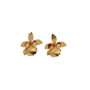 Quadricolor Orchid Jewelry Earrings