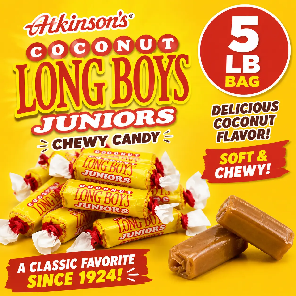 Atkinson's Coconut Long Boy Juniors Chewy Candy 5 lb  Coconut-Flavored Chewy Candy | Individually Wrapped Bulk Treats for Parties & Sharing