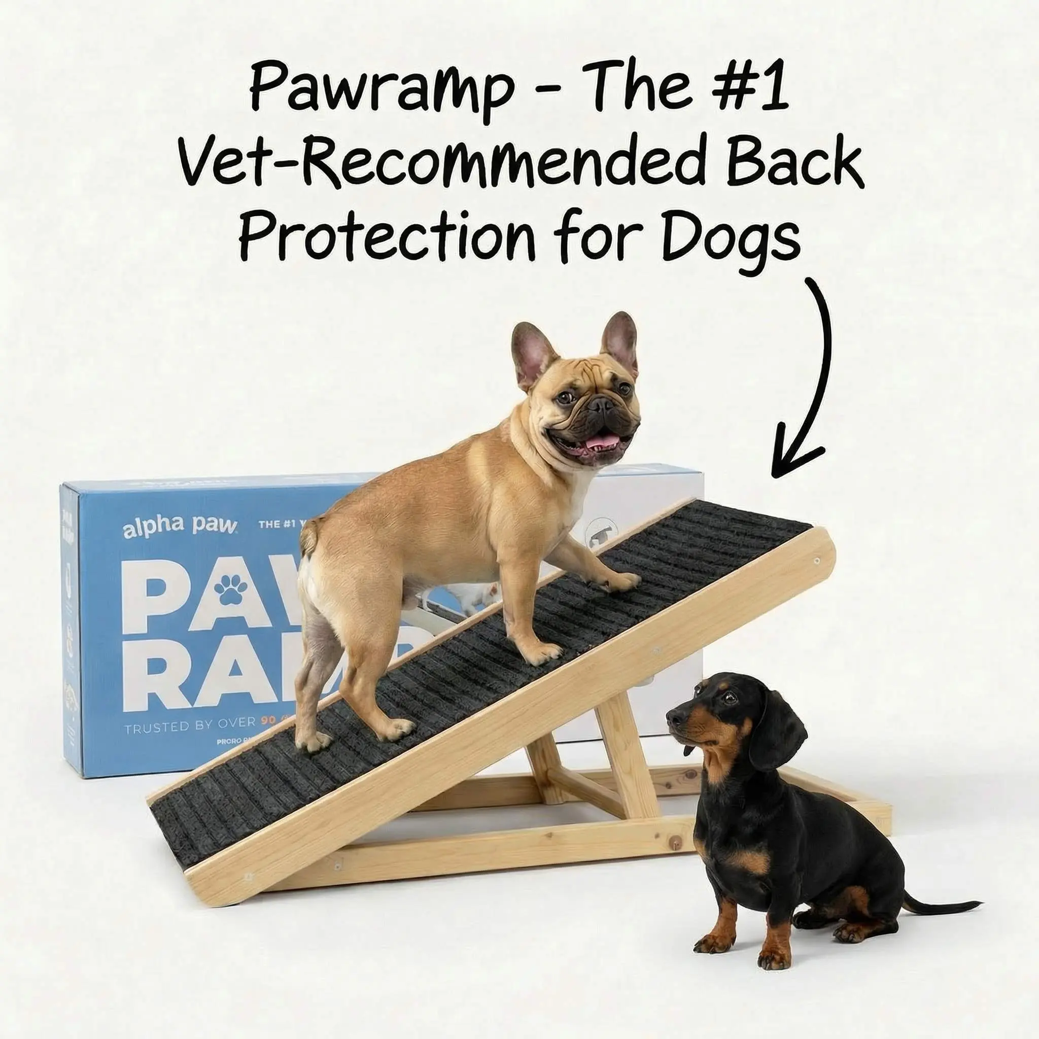 PawRamp – The #1 Vet-Recommended Way to Protect Your Dog’s Back & Joints