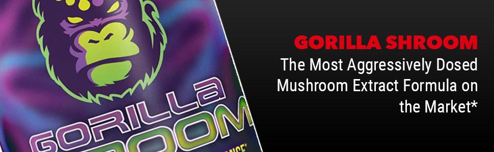 Gorilla Shroom Nootropic Mushroom Supplement -  Lion’s Mane, Cordyceps, Reishi, Maitake - For Energy, Immune Health & Focus - (30 Servings)